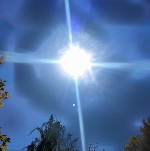 Meet your Posher, Brett